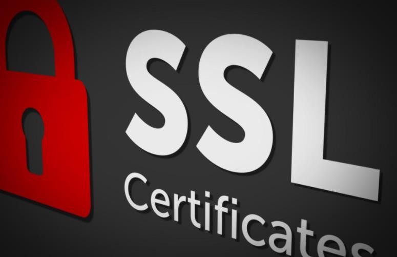 企业级通配符SSL