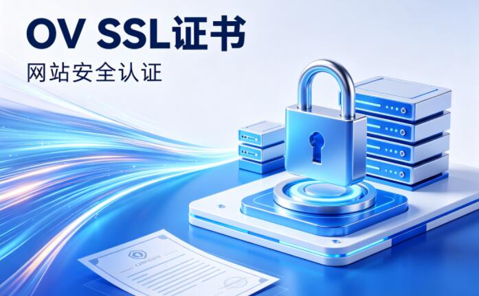 OV企业级SSL证书适用场景