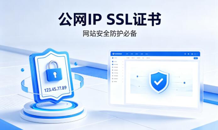 公网IP地址如何实现https加密访问？